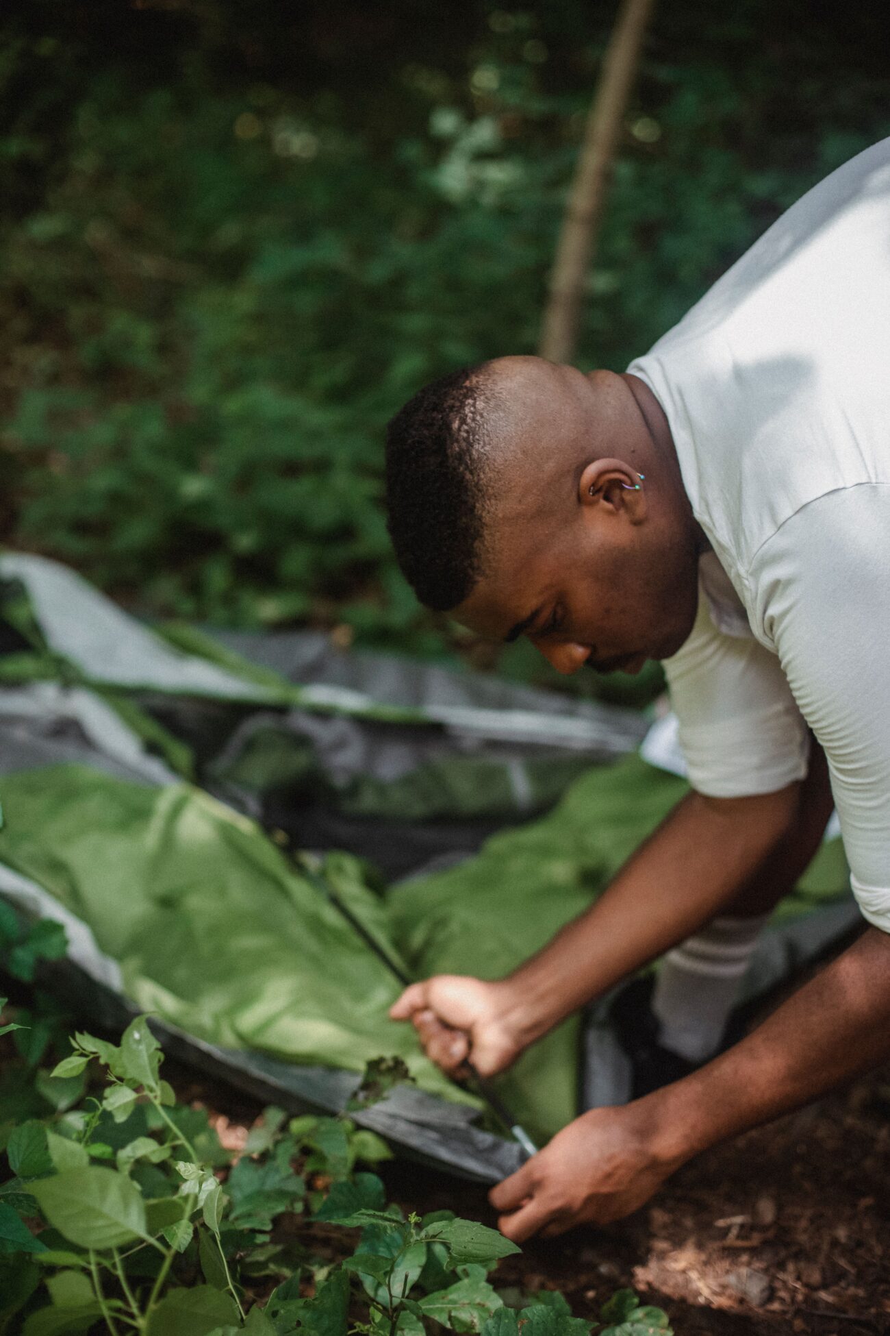 Hiker pegging down a tent guyline into the grass