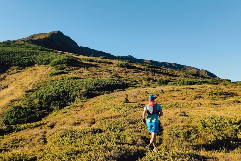 trail runner exploring scenic mountain landscape