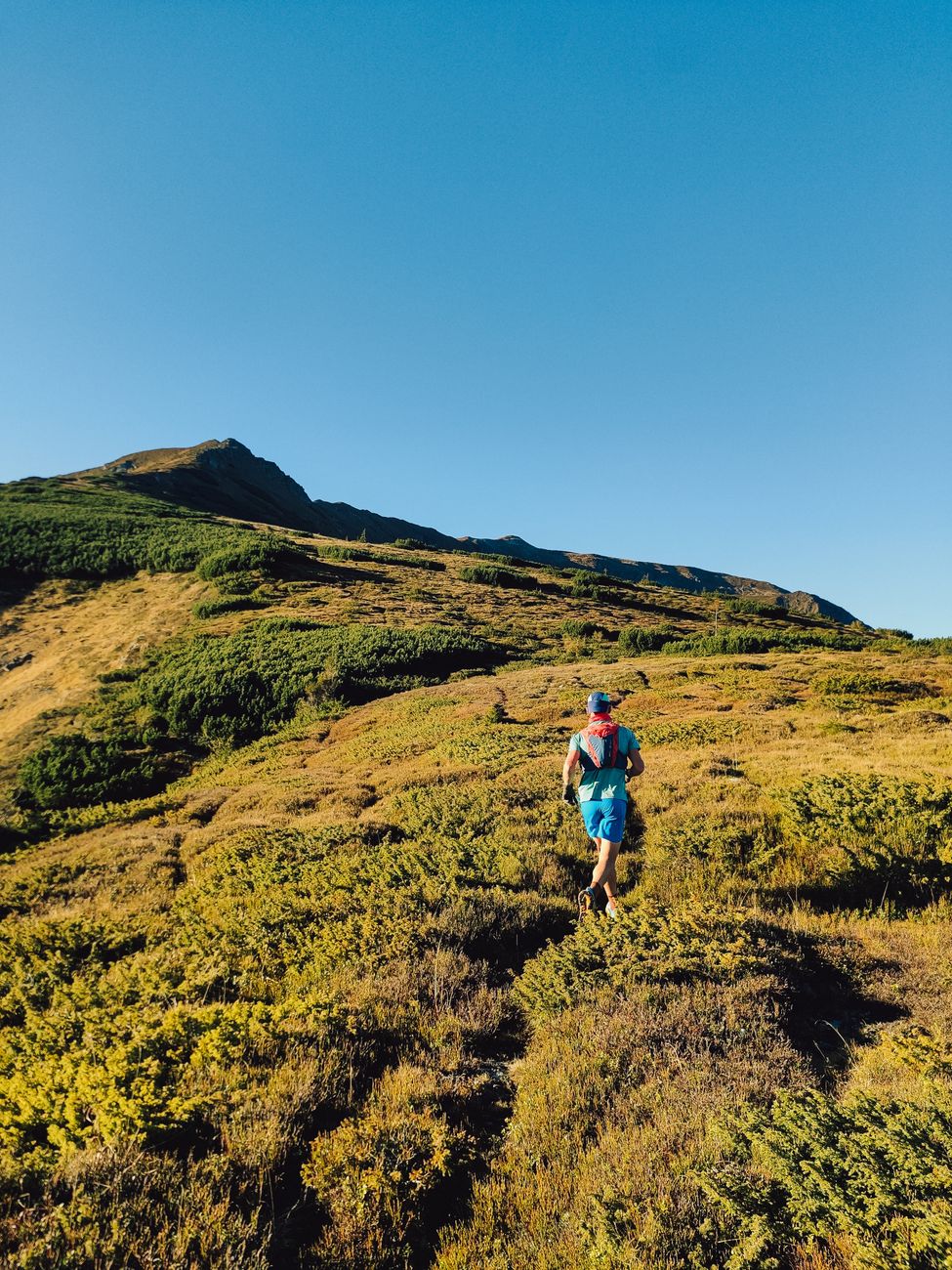 trail runner exploring scenic mountain landscape