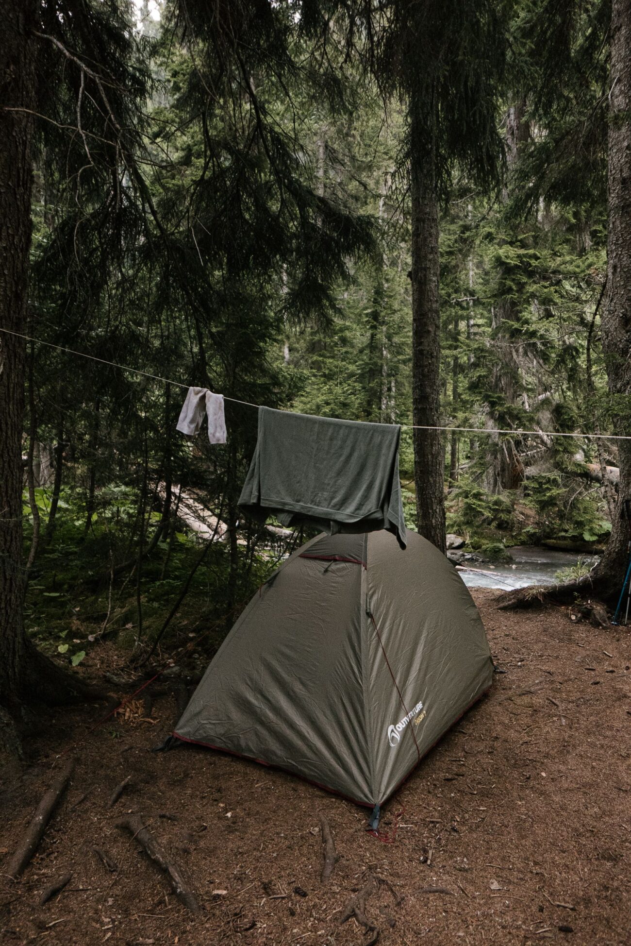 Ultralight backpacking tent pitched in a forest, illustrating shelter options for tarp vs bivy vs tent comparison