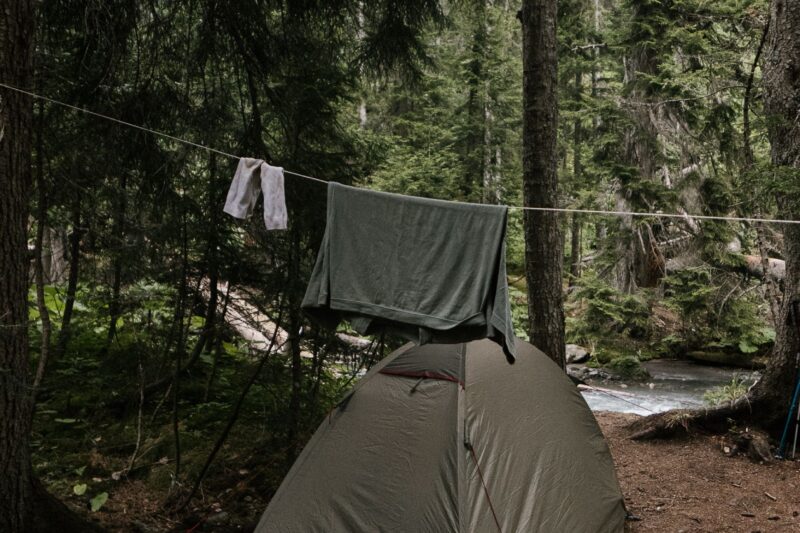 Ultralight backpacking tent pitched in a forest, illustrating shelter options for tarp vs bivy vs tent comparison