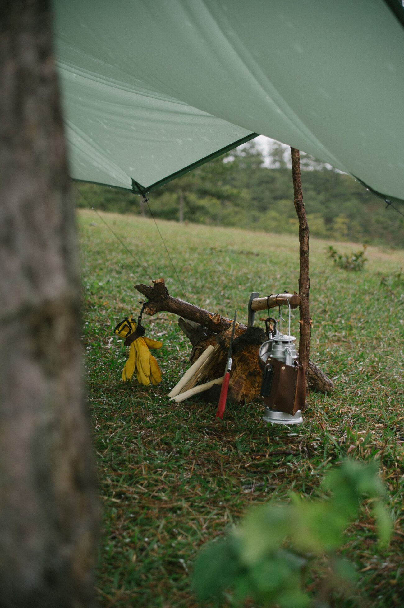 Ultralight camping tarp shelter set up in a forest clearing